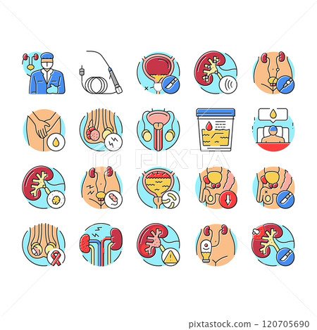 urology prostate urinary kidney icons set vector 120705690