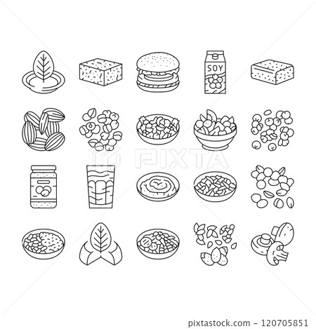 vegan food fresh organic icons set vector 120705851