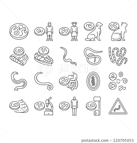 helminth worm parasite roundworm icons set vector 120705853