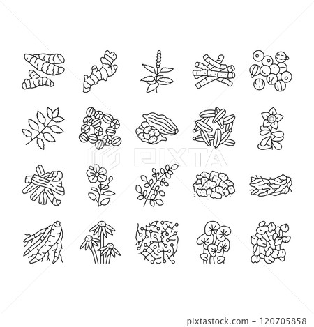 ayurvedic herbs medicine health icons set vector ayurvedic herbs medicine health icons set vector 120705858