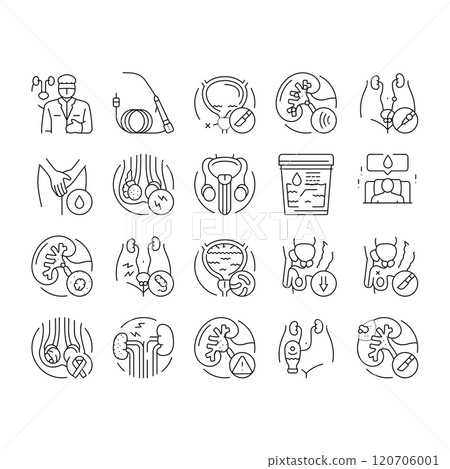 urology prostate urinary kidney icons set vector 120706001