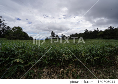 2024年9月15日,群馬縣國界山脊步道,在浦倉山與多納山間展開的小笠原,向東望眺 2024年9月15日,群馬縣國界山脊步道,在浦倉山與多納山間展開的小笠原,向東望眺 120706033