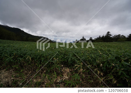 2024年9月15日，群馬縣國界嶺步道，在浦倉山和多納部山之間展開的小笠原向西看 120706038