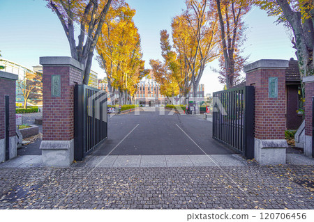 Seikei University 120706456