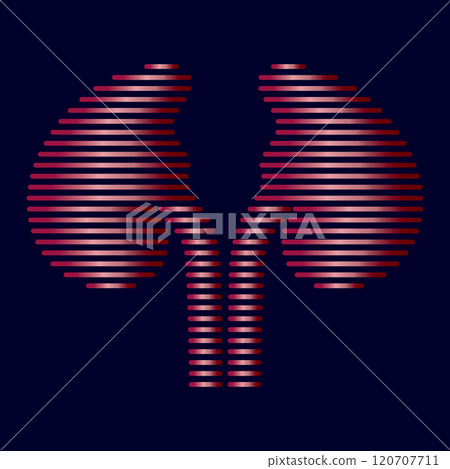 kidney vector illusrtation 120707711