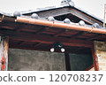 Old Japanese style eaves 120708237