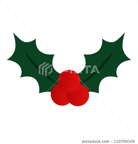 簡單的冬青向量插畫素材 120709104