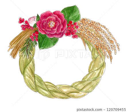 Hand-drawn watercolor illustration of camellia shimenawa 120709455