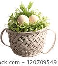 Chicken eggs in a basket isolated on a transparent background 120709549
