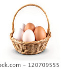 Chicken eggs in a basket isolated on a transparent background 120709555