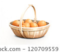 Chicken eggs in a basket isolated on a transparent background 120709559