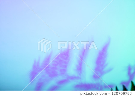 Tropical leaves in neon light with duotone shadows 120709793