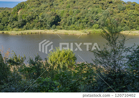 磐田市桶谷濕原風景(靜岡縣) 磐田市桶谷濕原風景(靜岡縣) 120710402