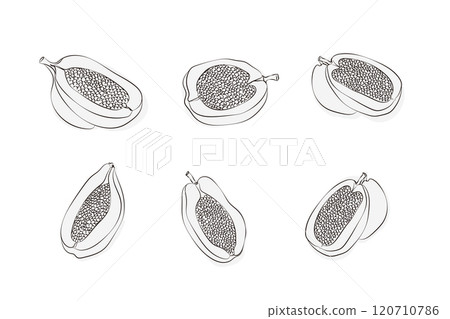 Set of black and white exotic fruits isolated. Vector outline monochrome doodle illustration of papaya. Food sketch 120710786