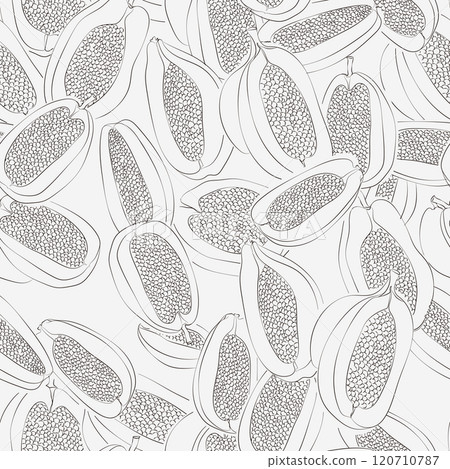 Papaya sketch seamless black and white pattern. Fruit doodle outline monochrome background. Food print good for printing on fabric, wrapping paper, wallpaper 120710787