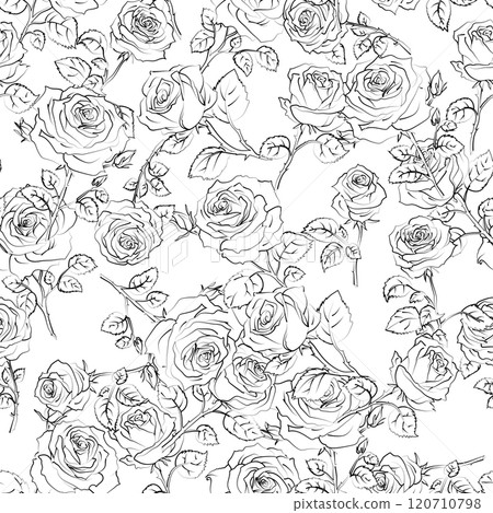 Seamless black and white floral pattern with roses. Good for textile or wrapping paper. Chaotic flowers background. Outline doodle design 120710798