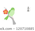 Color wallpaper illustration of the beginning of spring according to the 24 solar terms 120710885