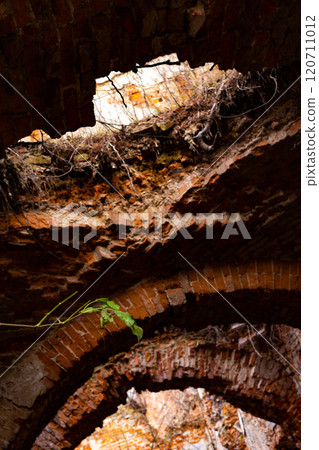 The old ruins of the collapsed walls with gates and windows Staroselskiy castle in Stare Selo in the Lviv region in Ukraine 120711012