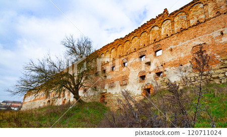 Stare Selo Old village Castle, Lviv region, Ukraine. Castle in the Stare Selo old village near the Lviv in western Ukraine Stare Selo Old village Castle, Lviv region, Ukraine. Castle in the Stare Selo old village near the Lviv in western Ukraine 120711024