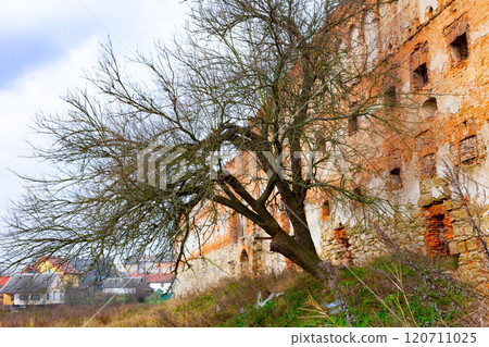Stare Selo Old village Castle, Lviv region, Ukraine. Castle in the Stare Selo old village near the Lviv in western Ukraine Stare Selo Old village Castle, Lviv region, Ukraine. Castle in the Stare Selo old village near the Lviv in western Ukraine 120711025