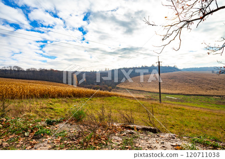 beautiful Ukrainian landscape. Road to the village 120711038