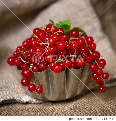 juicy currant berries on burlap near an old teapot juicy currant berries on burlap near an old teapot 120711063