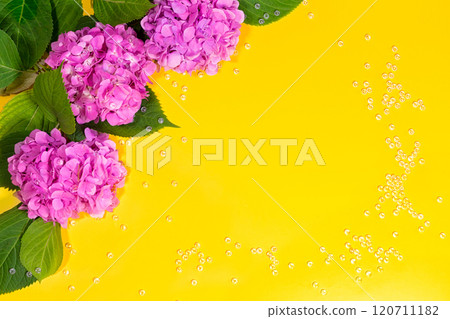 beautiful hydrangea flowers. Trendy fashion Style. Spring Summer Floral concept. Creative Minimal. Pink Blossom, Bright Color. Art 120711182
