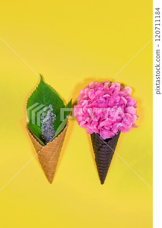 ice cream cones with beautiful hydrangea flowers. Trendy fashion Style. Spring Summer Floral concept. Creative Minimal. Pink Blossom, Bright Color. Art ice cream cones with beautiful hydrangea flowers. Trendy fashion Style. Spring Summer Floral concept. Creative Minimal. Pink Blossom, Bright Color. Art 120711184