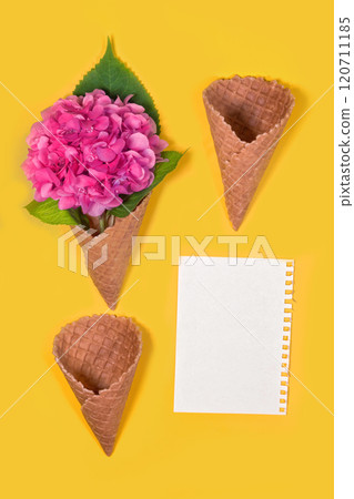 ice cream cones with beautiful hydrangea flowers. Trendy fashion Style. Spring Summer Floral concept. Creative Minimal. Pink Blossom, Bright Color. Art 120711185