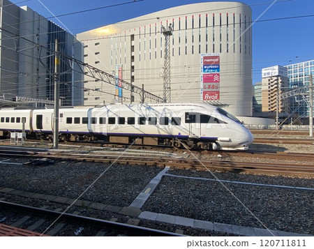 白色海鷗 白色海鷗 120711811