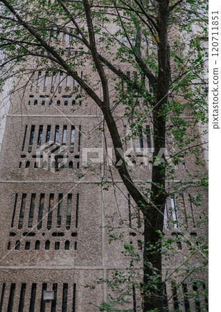 Tree with green leaves against of typical Soviet residential building Tree with green leaves against of typical Soviet residential building 120711851