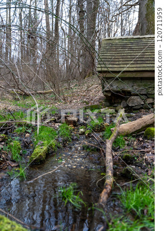 Tranquil Forest Stream with Wooden Structure Amidst Lush Early Spring Foliage. 120711959