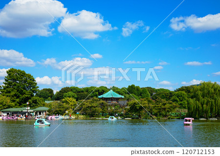 上野不忍池的休閒船隻與弁天堂 120712153
