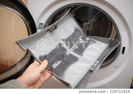 Dust and dirt trapped by the clothes dryer filter. Dust and dirt trapped by the clothes dryer filter. 120712429
