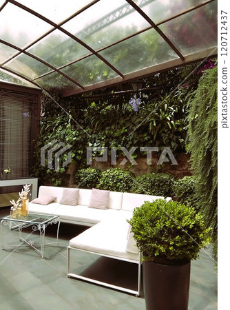 cozy veranda with white sofa, glass ceiling and lots of greenery cozy veranda with white sofa, glass ceiling and lots of greenery 120712437
