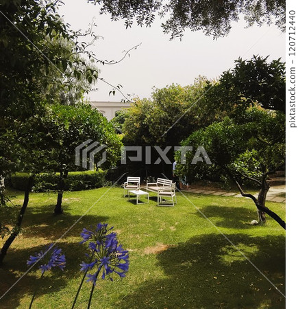 white chairs on a green lawn in a park 120712440