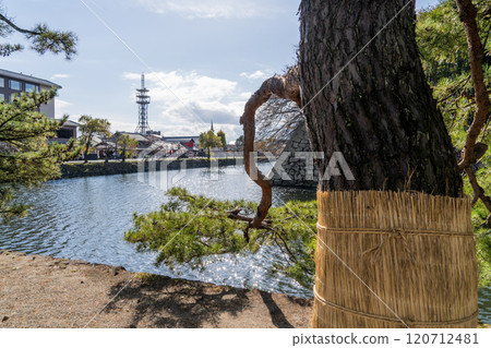 View of Hikone Castle in late autumn View of Hikone Castle in late autumn 120712481