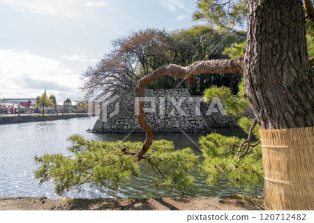 View of Hikone Castle in late autumn View of Hikone Castle in late autumn 120712482