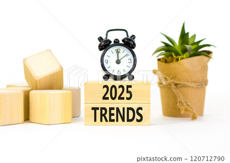 Planning 2025 trends new year symbol. Concept words 2025 Trends on beautiful wooden blocks. Beautiful white background. Black alarm clock. Business 2025 trends new year concept. Copy space. 120712790