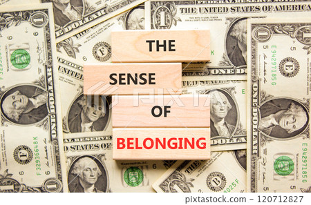 The sense of belonging symbol. Concept words The sense of belonging on beautiful wooden blocks. Beautiful background from dollar bills. Business and the sense of belonging concept. Copy space. 120712827