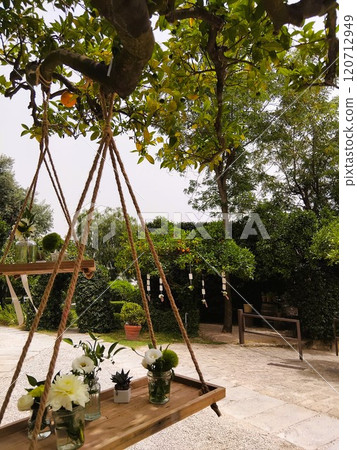 swing, park, tree 120712949