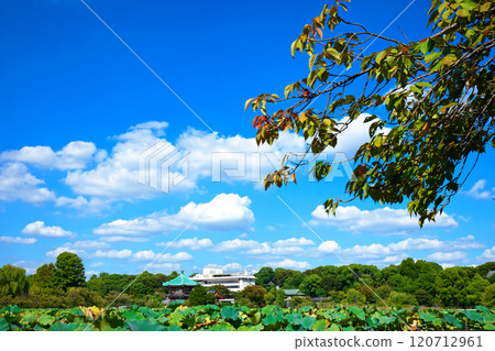 Lotus pond and Benten-do temple at Shinobazu Pond in Ueno, Japan by Beniyutaka 120712961