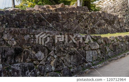 View of Hikone Castle View of Hikone Castle 120712964