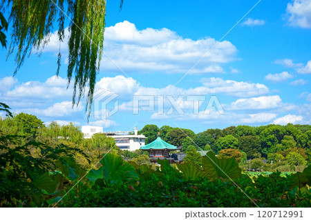 上野不忍池的荷花池與弁天堂 120712991