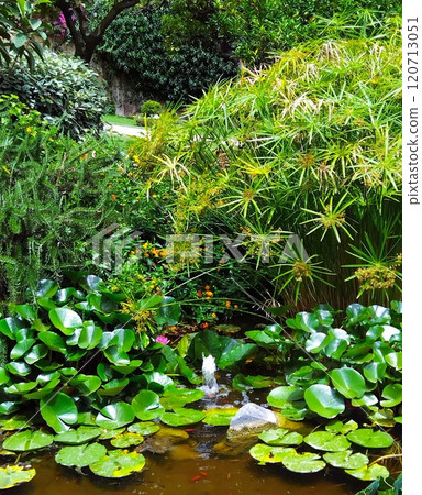 garden, park, fountain 120713051