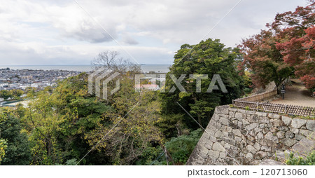 View of Hikone Castle 120713060