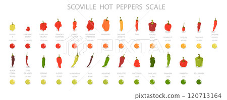3D Isometric Flat  Illustration of Scoville Hot Peppers Scale, From Sweetest to Very Hot 120713164