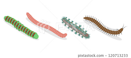3D Isometric Flat  Set of Caterpillars And Worms, Biology and Education 120713233
