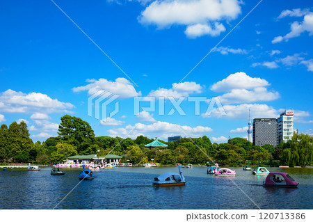不忍池弁天堂及週邊景觀船池 120713386