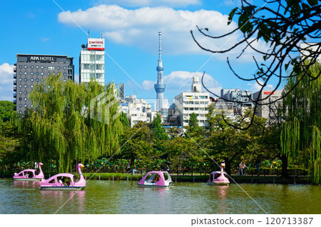 休閒船和東京天空樹在上野的二宮池塘 120713387